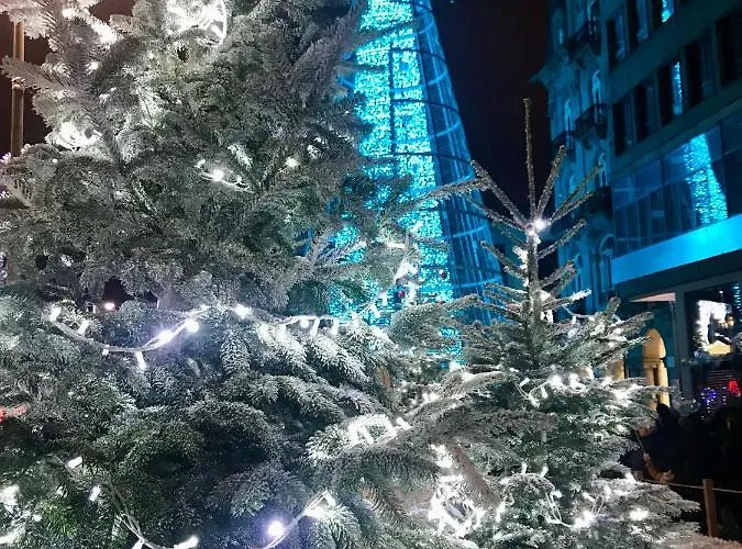 Churruca 3 Apartamento Vigo